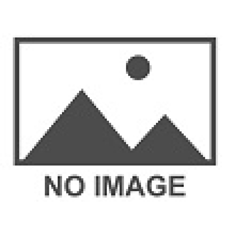 Windforce - SNOWBLAZER UHP - 205/55 R16C
