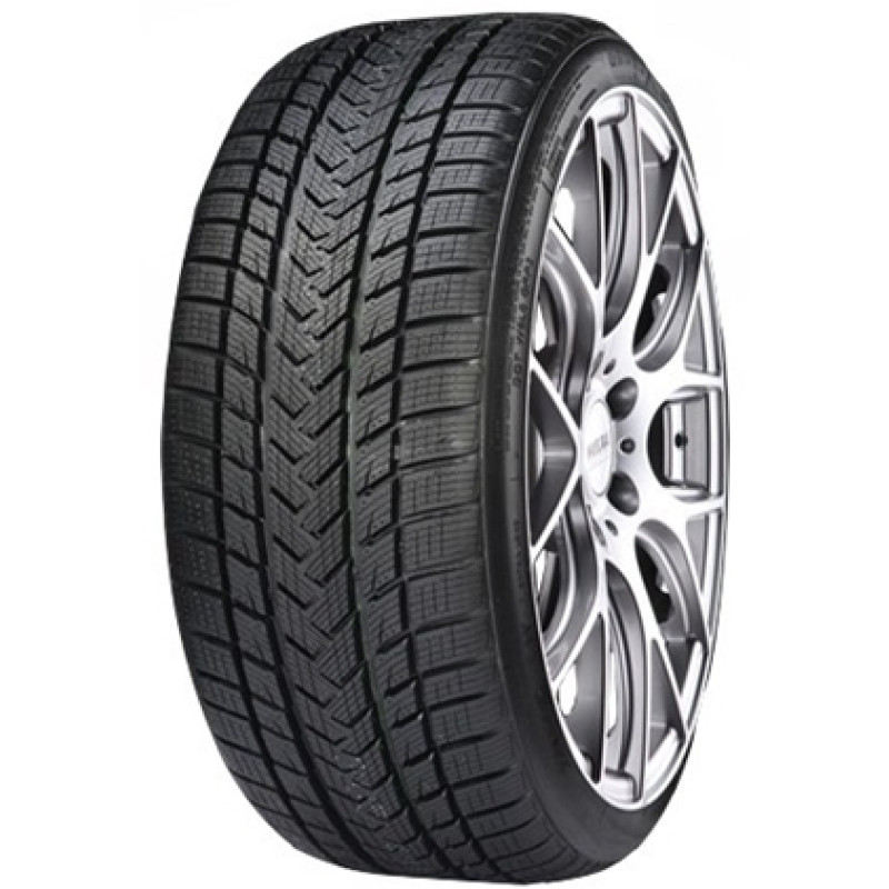 Gripmax - Pro Winter - 205/55 R17