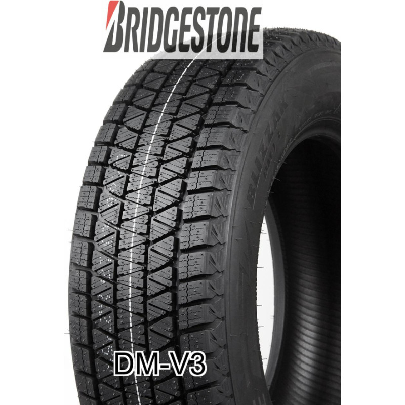 Bridgestone - DM-V3 - 225/60 R18