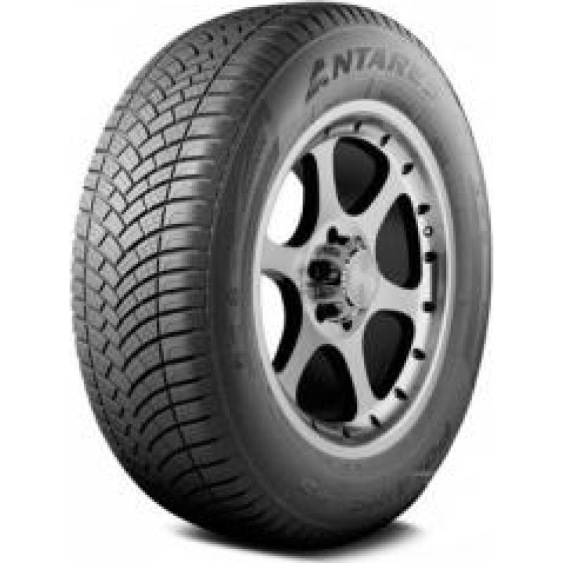 Antares - POLYMAX 4S - 205/55 R16