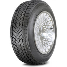 Landsail - Winter Lander (Nordic) - 225/40 R18