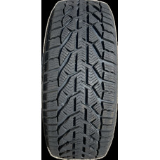 Taurus - Winter - 205/65 R16