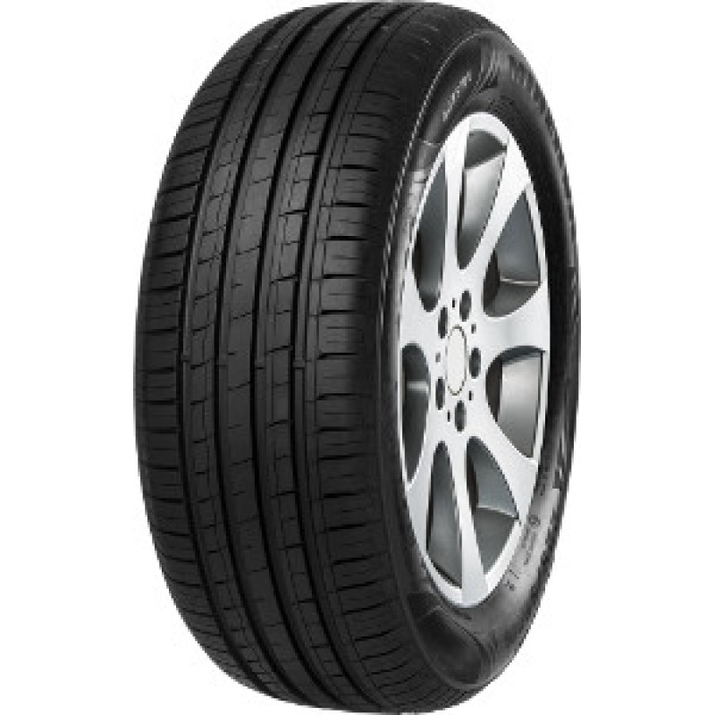 Minerva - F209 - 215/65 R16